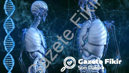 Transhümanizm: İnsan Evriminin Son Sınırı!