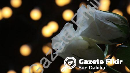 365 gün 2 ne zaman çıkacak?