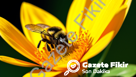 Bumblebee 2