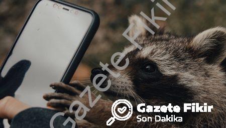 Cep Telefonu Yedek Parça Alırken Nelere Dikkat Etmelisiniz?