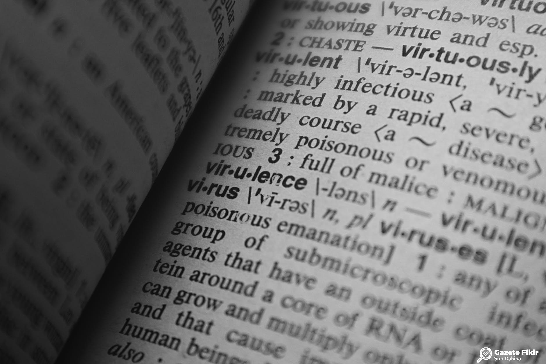 Englico.com.tr: Dil Becerilerini Geliştiren İngilizce Kelime Oyunları