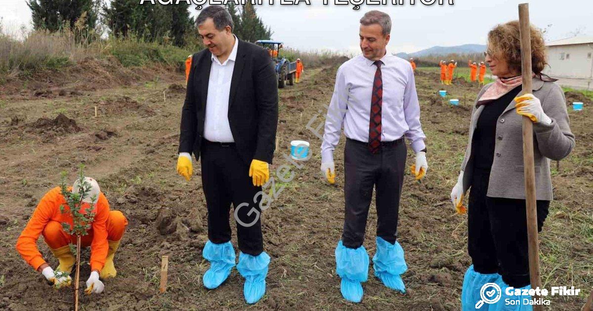 "Dalaman Ceza İnfaz Kurumu Arazisi Sakız Ağaçlarıyla Yeşeriyor" başlıklı haber için fotorealistik, p