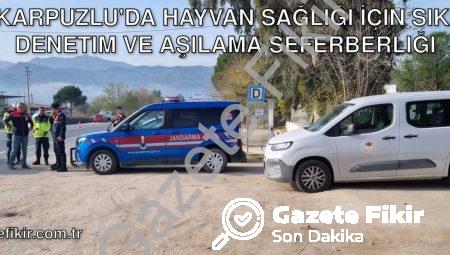 Karpuzlu’da Hayvan Sağlığı İçin Sıkı Denetim ve Aşılama Seferberliği