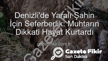 Denizli’de Yaralı Şahin İçin Seferberlik: Muhtarın Dikkati Hayat Kurtardı