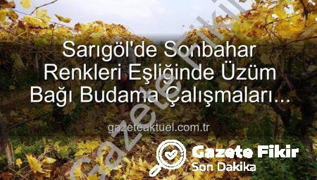 Sarıgöl’de Sonbaharın Büyüsü: Üzüm Bağlarında Kartpostallık Görüntüler Eşliğinde Budama Çalışmaları Başladı