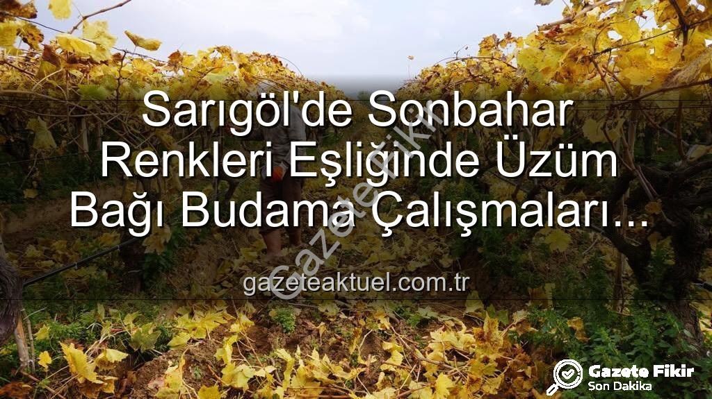 Sarıgöl budama - Sarıgöl'de Sonbaharın Büyüsü: Üzüm Bağlarında Kartpostallık Görüntüler Eşliğinde Budama Çalışmaları Başladı