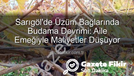 Sarıgöl’de Üzüm Bağlarında Budama Devrimi: Aile Emeğiyle Maliyetler Düşüyor