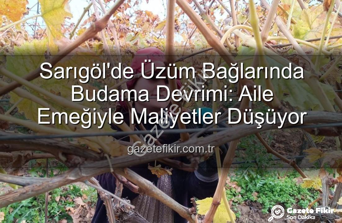 üzüm budama maliyeti - Sarıgöl'de Üzüm Bağlarında Budama Devrimi: Aile Emeğiyle Maliyetler Düşüyor