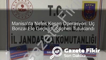 Manisa’da Nefes Kesen Operasyon: Uç Bonzai Ele Geçirildi, Şüpheli Tutuklandı