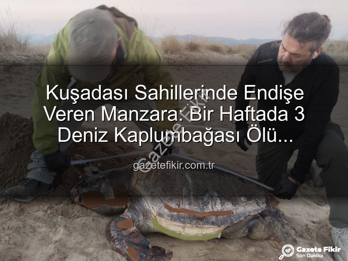 deniz kaplumbağası - Kuşadası Sahillerinde Endişe Veren Manzara: Bir Haftada 3 Deniz Kaplumbağası Ölü Bulundu