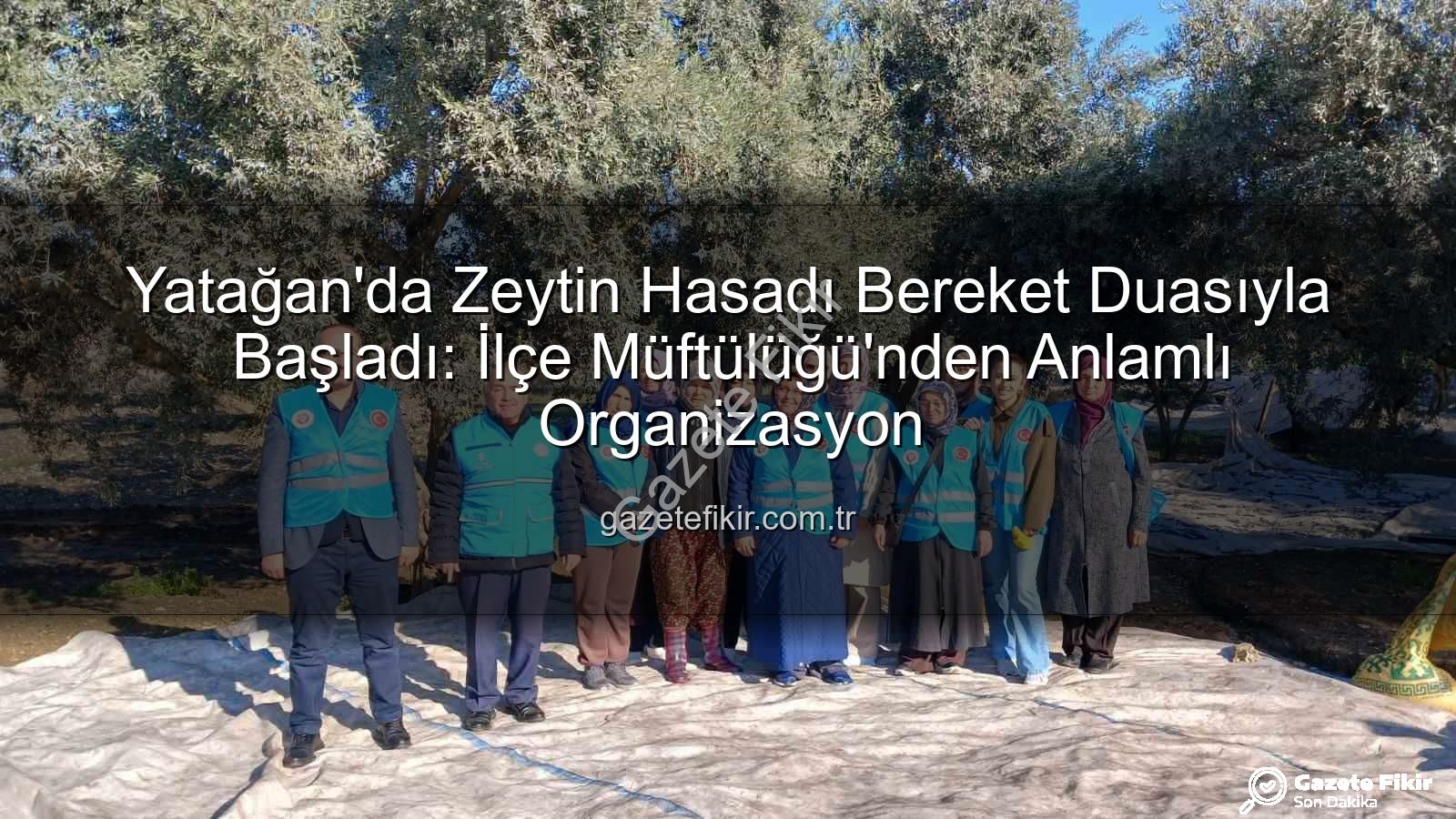 Yatağan zeytin hasadı - Yatağan'da Zeytin Hasadı Bereket Duasıyla Başladı: İlçe Müftülüğü'nden Anlamlı Organizasyon
