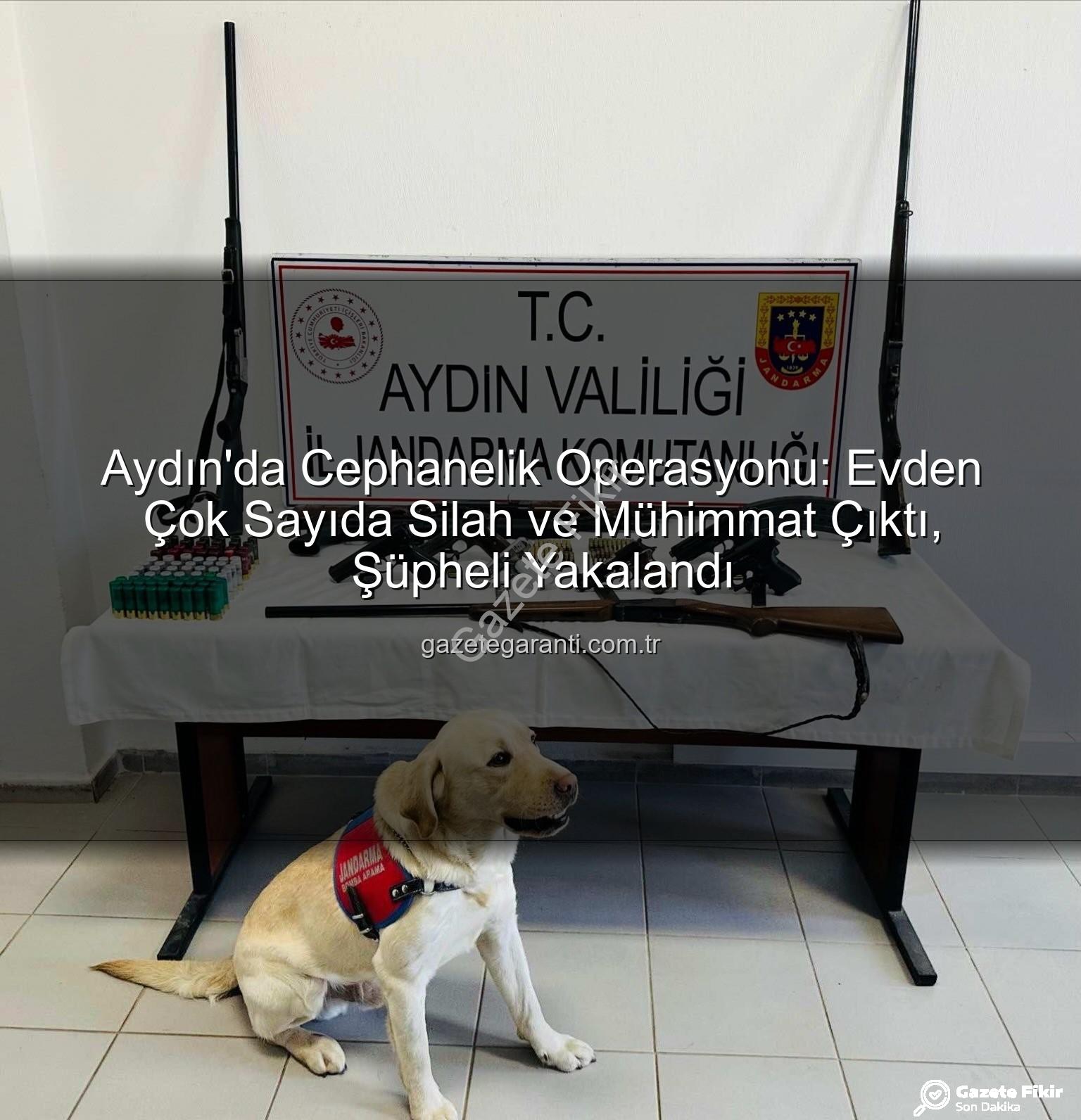 ruhsatsız silah - Aydın'da Cephanelik Ev Operasyonu: Suç Örgütlerine Silah Sağlayan Şüpheli Yakalandı