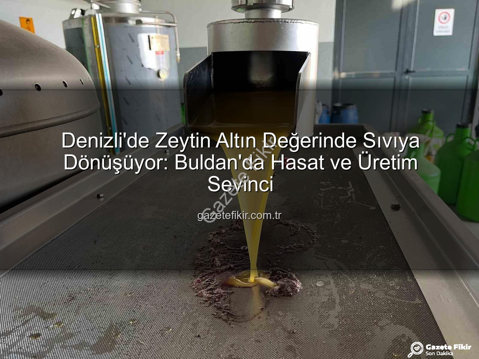 zeytinyağı üretimi - Denizli'de Zeytin Altın Değerinde Sıvıya Dönüşüyor: Buldan'da Hasat ve Üretim Sevinci