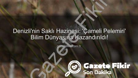 Denizli’nin Saklı Hazinesi: ‘Çameli Pelemiri’ Bilim Dünyasına Kazandırıldı!