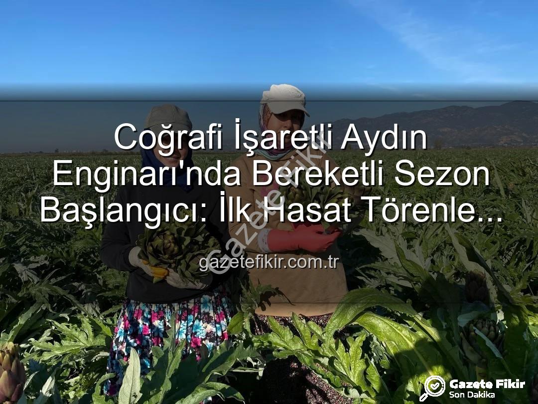 Aydın Enginarı - Coğrafi İşaretli Aydın Enginarı'nda Bereketli Sezon Başlangıcı: İlk Hasat Törenle Yapıldı