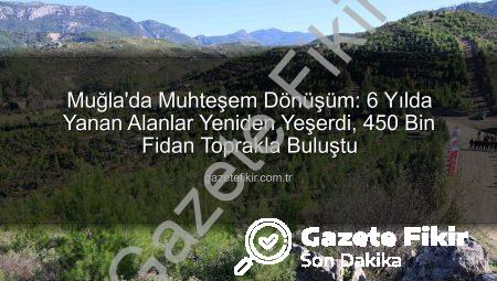 Muğla’da Muhteşem Dönüşüm: 6 Yılda Yanan Alanlar Yeniden Yeşerdi, 450 Bin Fidan Toprakla Buluştu