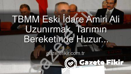TBMM Eski İdare Amiri Ali Uzunırmak, Tarımın Bereketinde Huzur Buluyor: İncir Bahçelerinde Yeni Bir Sayfa