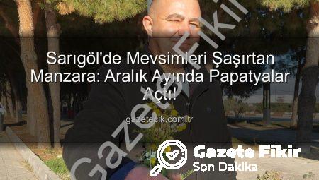 Sarıgöl’de Beklenmedik Görüntüler: Aralık Ayında Zemheri Papatyaları Çiçek Açtı!